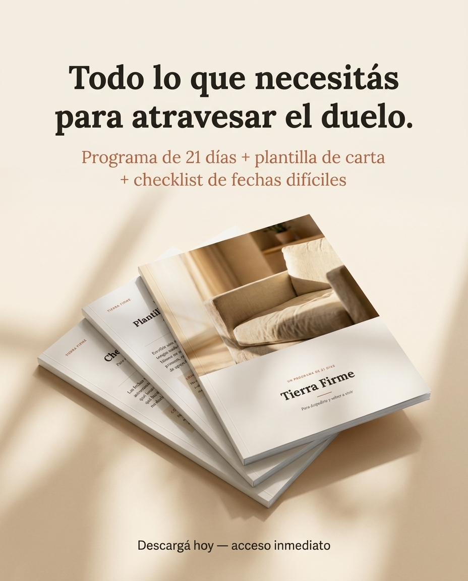 Tierra Firme — mockup del programa